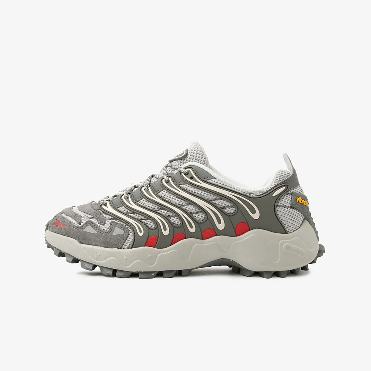 Men's Reebok Trailzillo DMX Grey 100272214