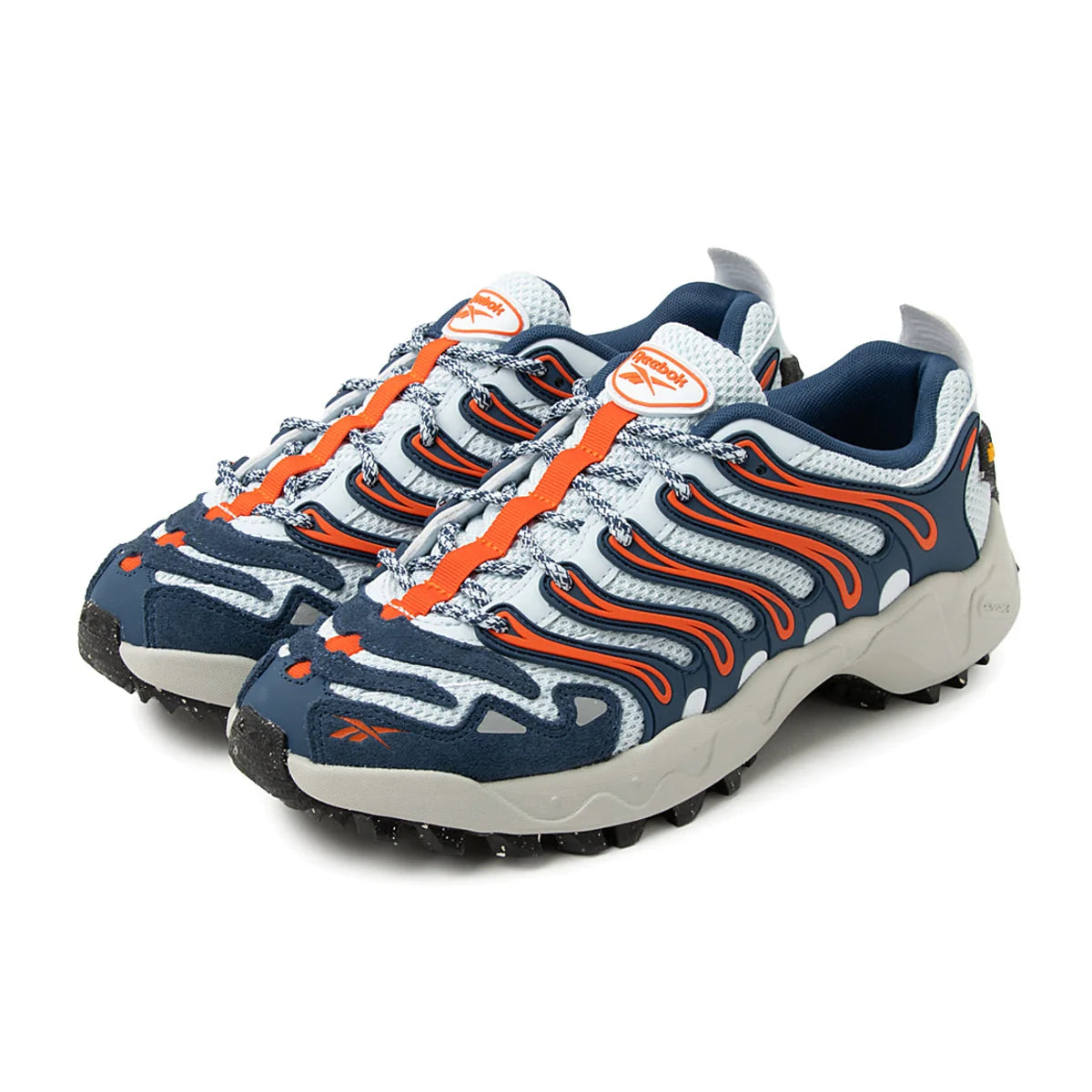 Men's Reebok Trailzillo DMX Blue 100272226