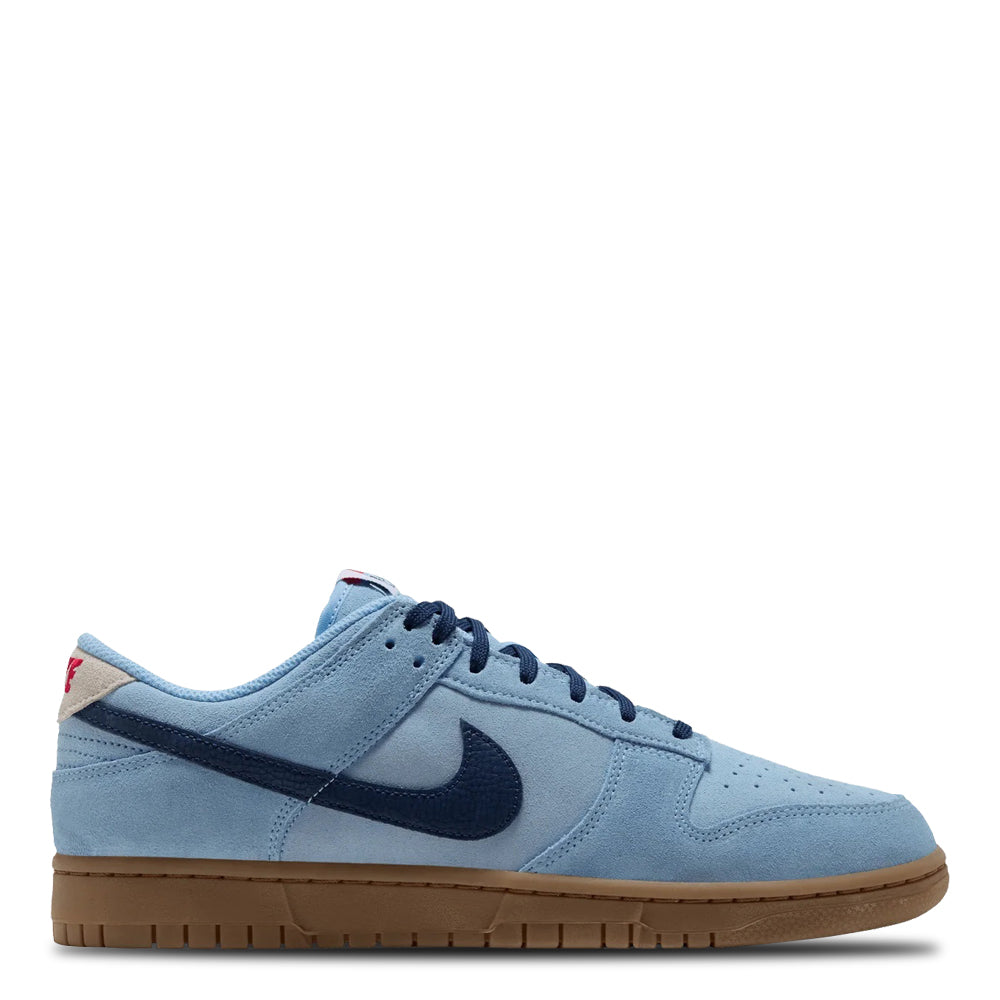 Nike Dunk Low Retro Men's Sneakers