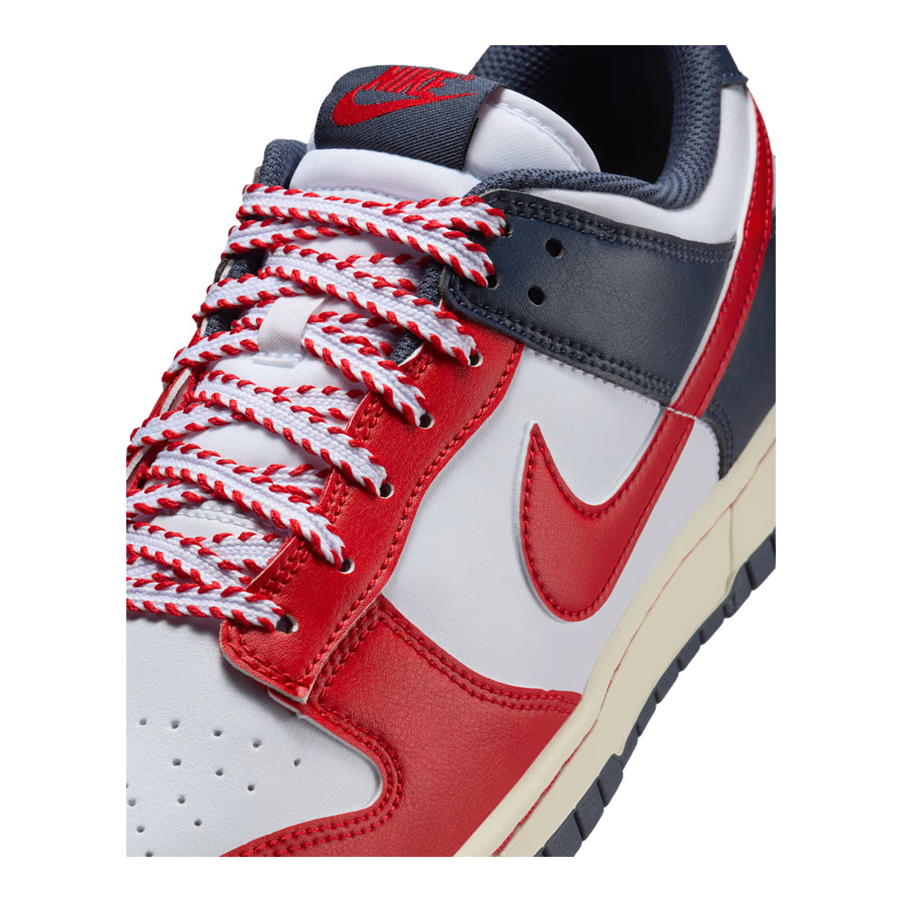Nike Dunk Low Retro Men's Sneakers