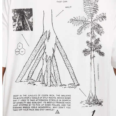 Men's Nike ACG Walking Tree Dri Fit T-Shirt White HJ0796-121