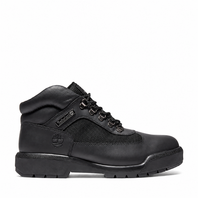 Men's Timberland Waterproof Field Boot Black Full-Grain tb0a42sgw02