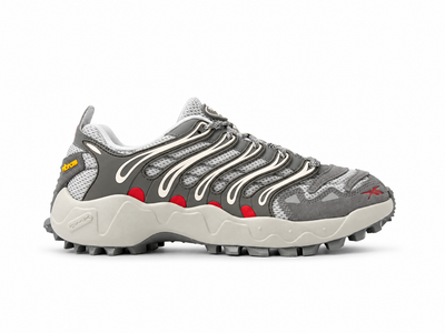 Men's Reebok Trailzillo DMX Grey 100272214