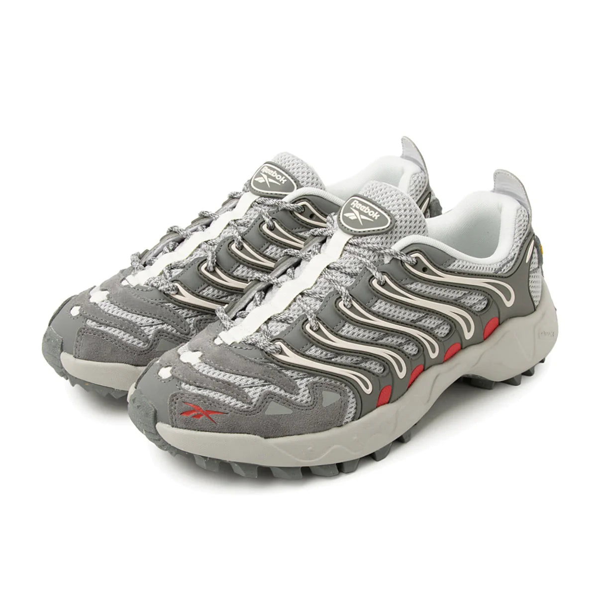 Men's Reebok Trailzillo DMX Grey 100272214