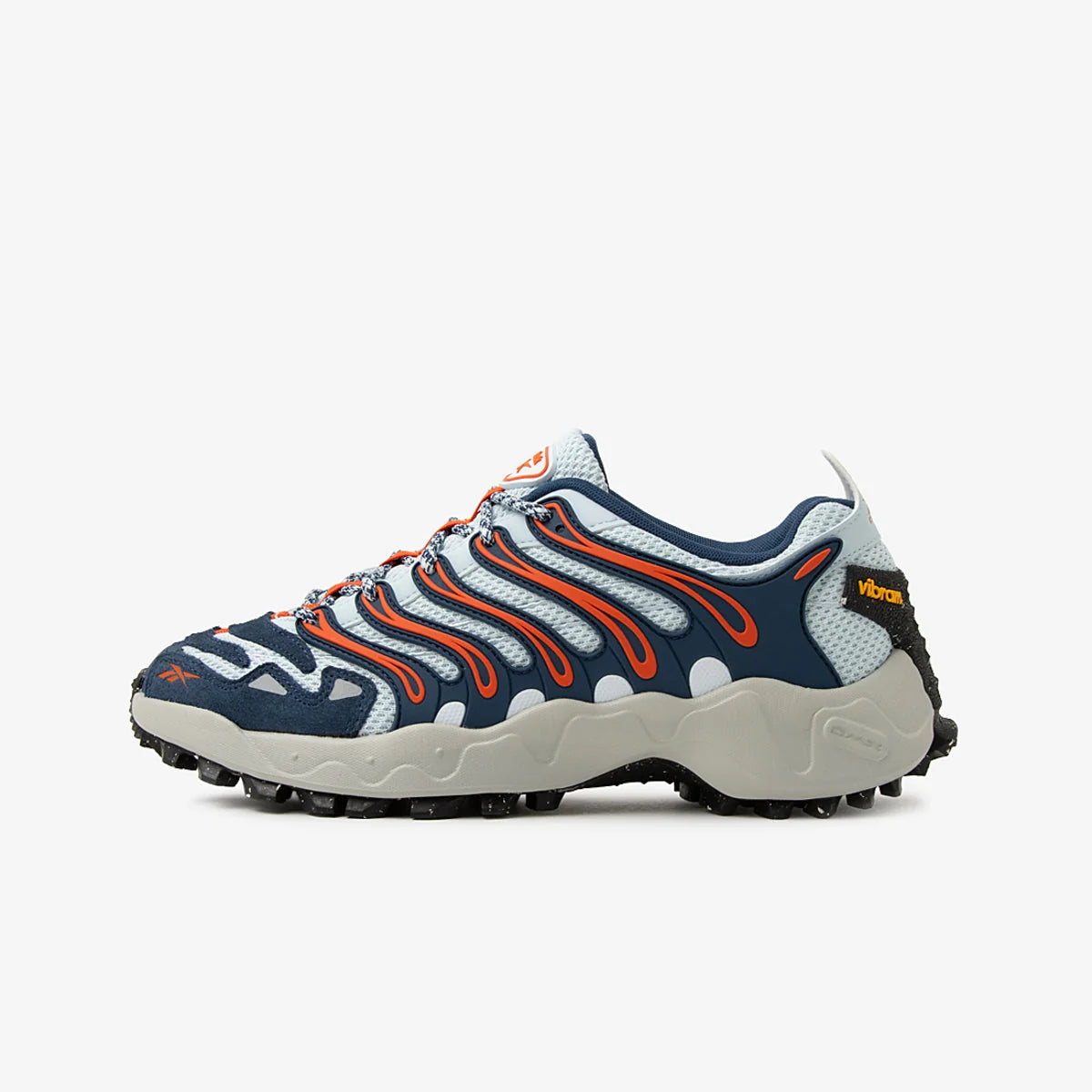 Men's Reebok Trailzillo DMX Blue 100272226