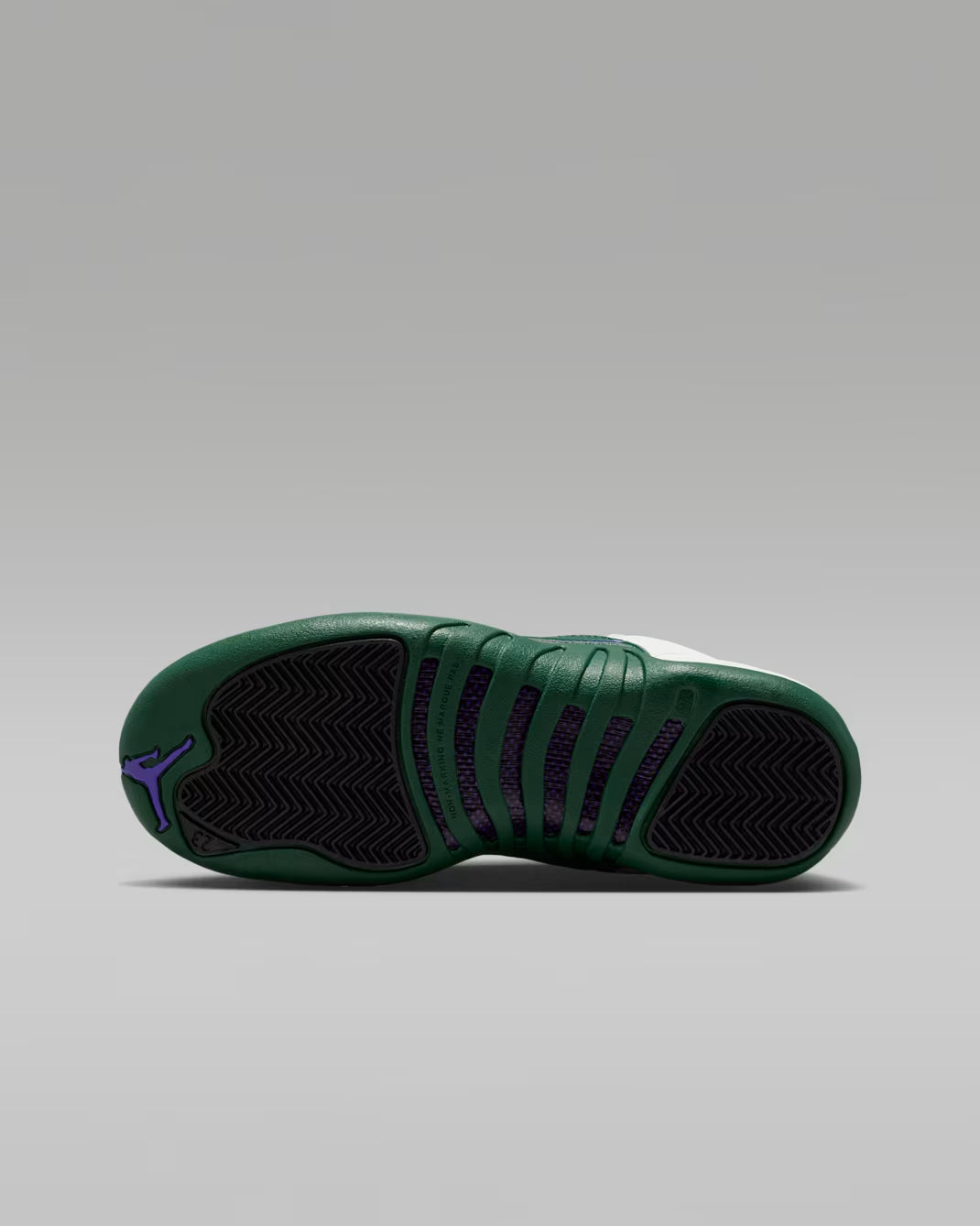 Big Kid's Air Jordan 12 Retro Summit White/Gorge Green-Black-Fierce Purple 153265-103