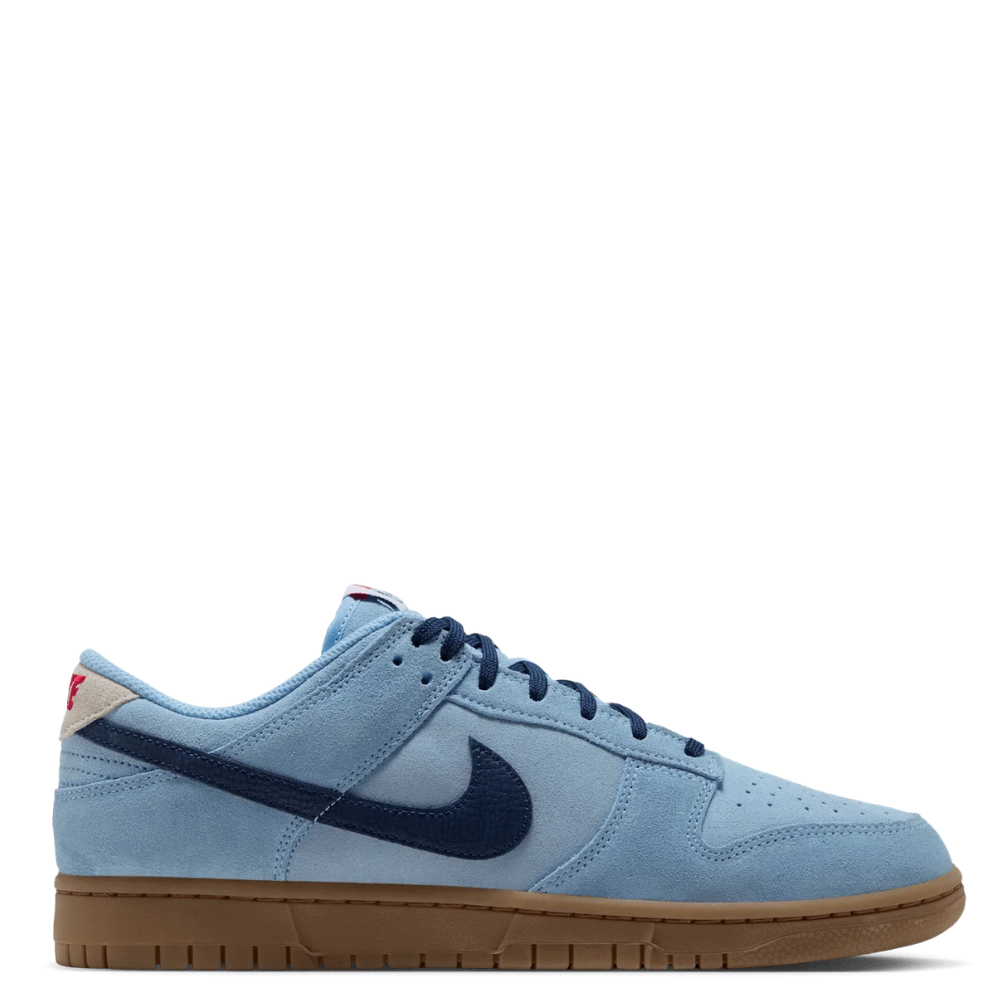 Nike Dunk Low Retro Men's Sneakers