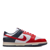 Nike Dunk Low Retro Men's Sneakers
