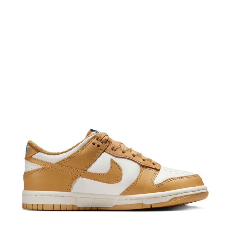 Nike Dunk Low Big Kids&