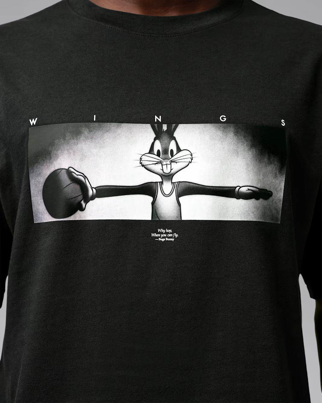 Men's Jordan Brooklyn Space Jam Wings Crew-Neck T-Shirt Black IX8621-010