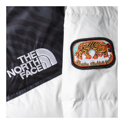 The North Face Men's 1996 Retro Nuptse Jacket 5