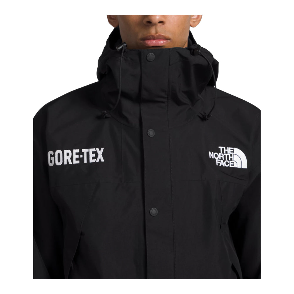 The North Face Men’s GTX Mountain Jacket