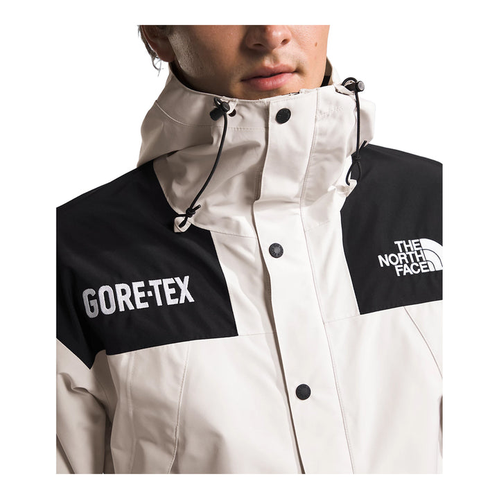 The North Face Men’s GTX Mountain Jacket