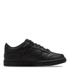 Nike Dunk Low Big Kids' Sneakers