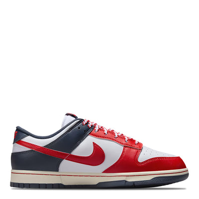 Nike Dunk Low Retro Men's Sneakers