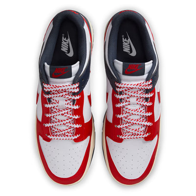Nike Dunk Low Retro Men's Sneakers