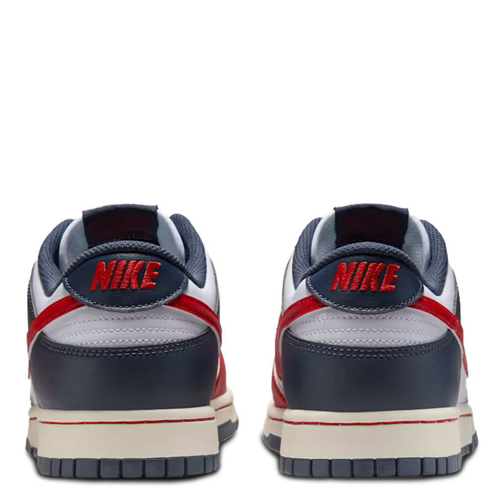 Nike Dunk Low Retro Men's Sneakers