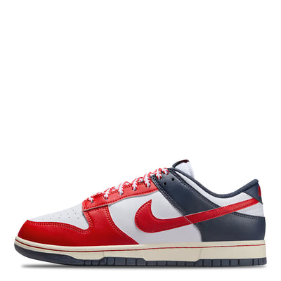 Nike Dunk Low Retro Men's Sneakers