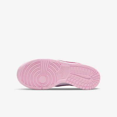 Big Kid's Nike Dunk Low GS 5