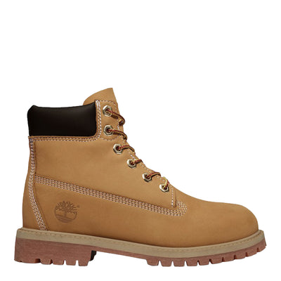 Timberland Kids' 6 Inch Premium Waterproof Boot 1