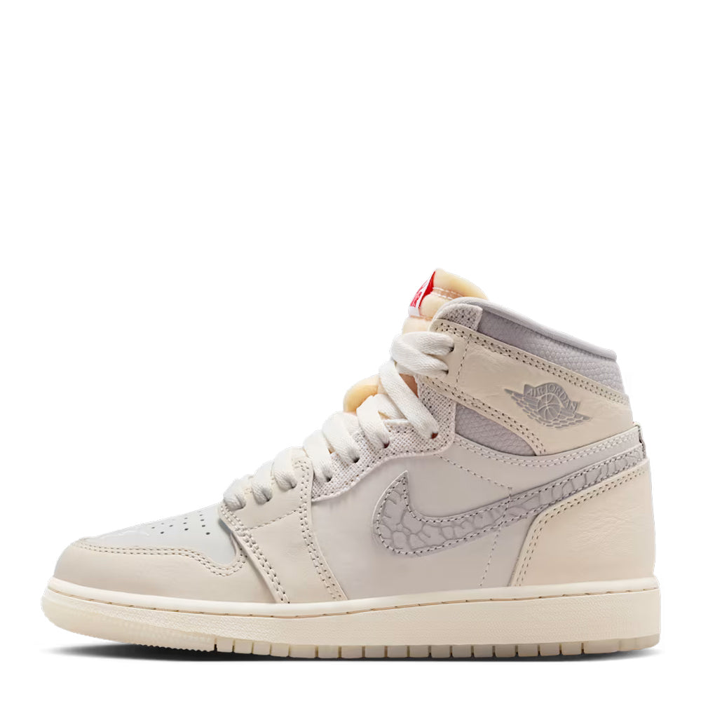 Air Jordan 1 Retro High OG Big Kids&
