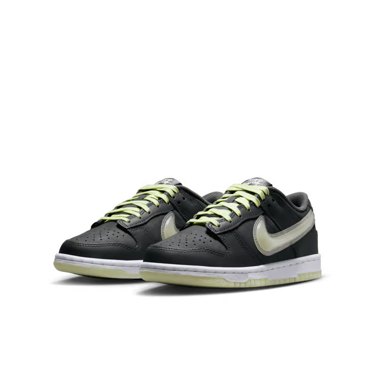 Nike Dunk Low Big Kids&