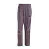 adidas Men's Teamgeist Adicolor Track Pants